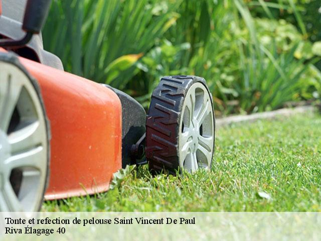 Tonte et refection de pelouse  saint-vincent-de-paul-40990 Riva Élagage 40