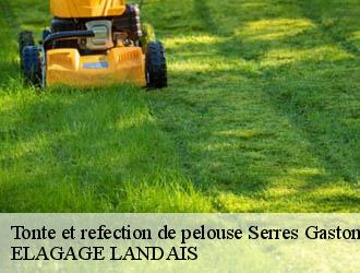 Tonte et refection de pelouse  serres-gaston-40700 Riva Élagage 40