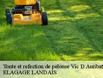 Tonte et refection de pelouse vic-d-auribat-40380 ELAGAGE LANDAIS