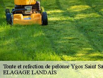 Tonte et refection de pelouse ygos-saint-saturnin-40110 ELAGAGE LANDAIS