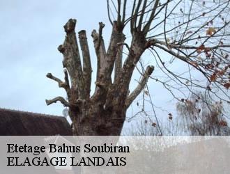 Etetage bahus-soubiran-40320 ELAGAGE LANDAIS