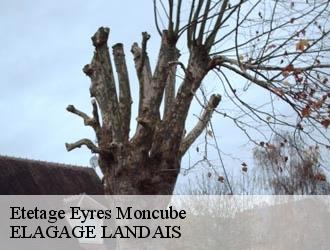 Etetage eyres-moncube-40500 ELAGAGE LANDAIS