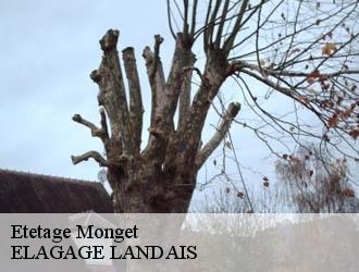 Etetage monget-40700 ELAGAGE LANDAIS