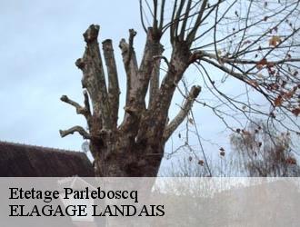 Etetage parleboscq-40310 ELAGAGE LANDAIS