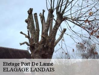 Etetage port-de-lanne-40300 ELAGAGE LANDAIS