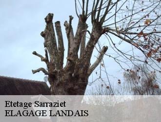 Etetage sarraziet-40500 ELAGAGE LANDAIS