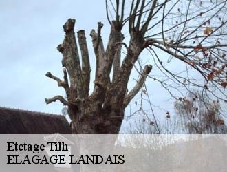 Etetage  tilh-40360 ELAGAGE LANDAIS