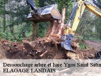 Dessouchage arbre et haie ygos-saint-saturnin-40110 ELAGAGE LANDAIS